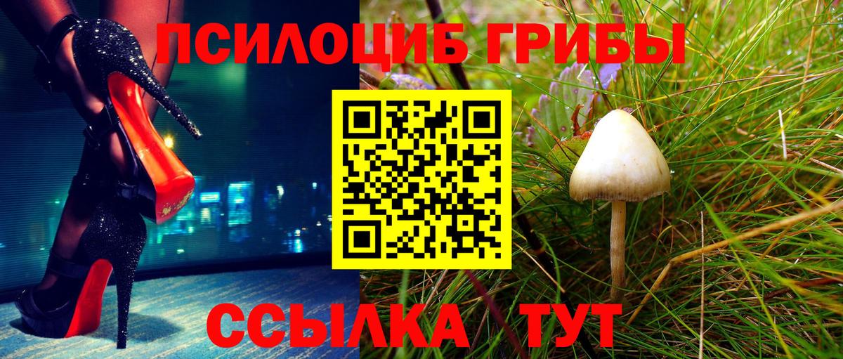 Галлюциногенные грибы Cubensis Хабаровск