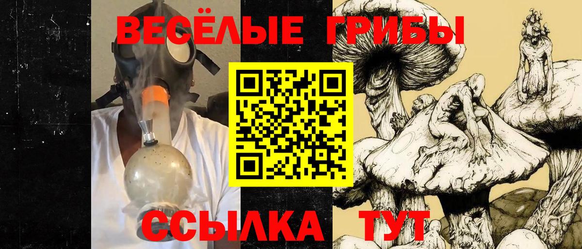 Галлюциногенные грибы мицелий  Вход с VPN  Хабаровск 